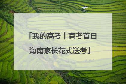 我的高考丨高考首日 海南家长花式送考