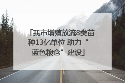 我市增殖放流8类苗种13亿单位 助力“蓝色粮仓”建设