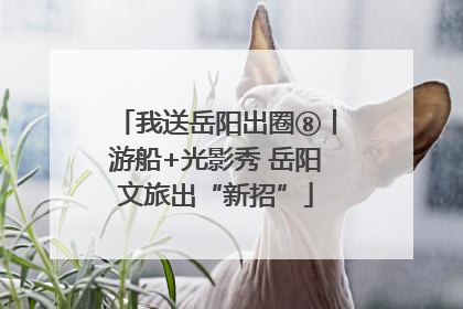 我送岳阳出圈⑧丨游船+光影秀 岳阳文旅出“新招”