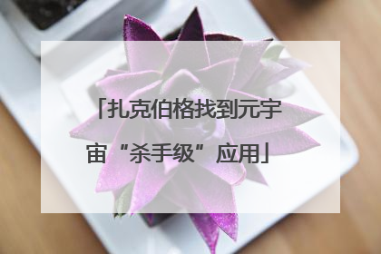 扎克伯格找到元宇宙“杀手级”应用