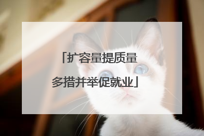 扩容量提质量 多措并举促就业