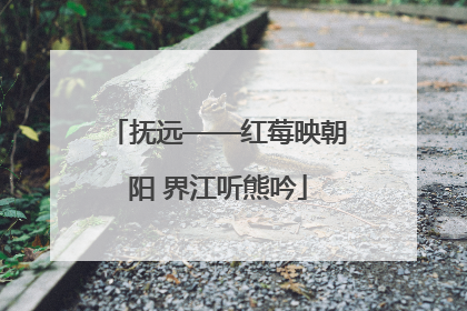 抚远——红莓映朝阳 界江听熊吟