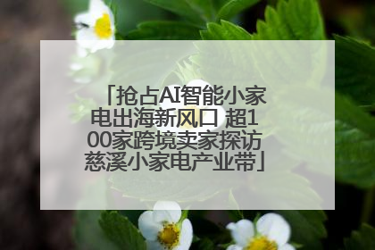 抢占AI智能小家电出海新风口 超100家跨境卖家探访慈溪小家电产业带