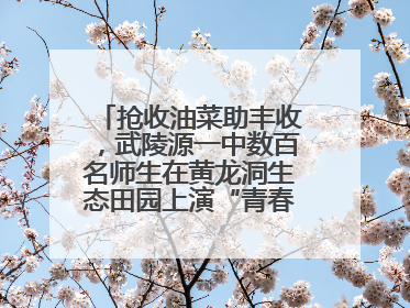 抢收油菜助丰收，武陵源一中数百名师生在黄龙洞生态田园上演“青春助农记”