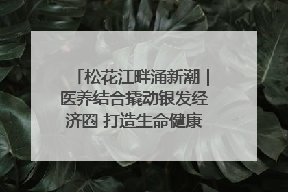松花江畔涌新潮｜医养结合撬动银发经济圈 打造生命健康产业新样本