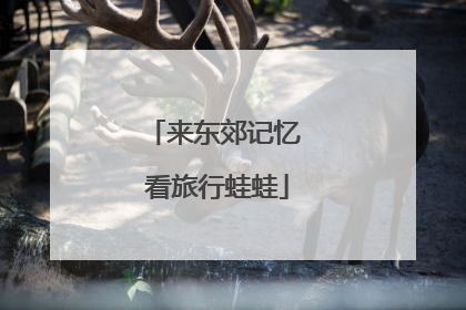 来东郊记忆 看旅行蛙蛙