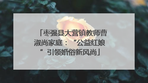 枣强县大营镇教师曹淑尚家庭：“公益红娘”引领婚俗新风尚