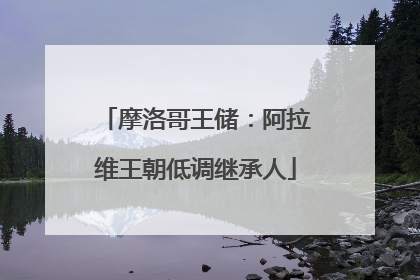 摩洛哥王储：阿拉维王朝低调继承人