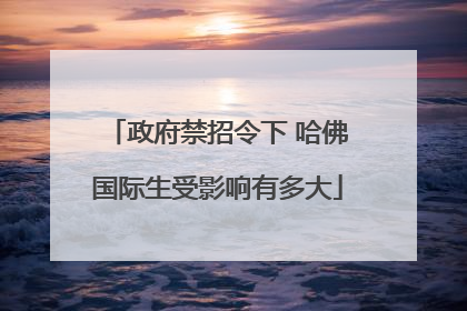 政府禁招令下 哈佛国际生受影响有多大