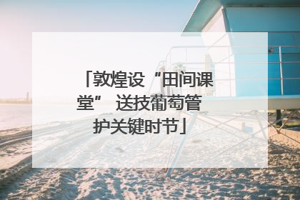 敦煌设“田间课堂” 送技葡萄管护关键时节