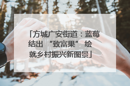 方城广安街道：蓝莓结出 “致富果” 绘就乡村振兴新图景