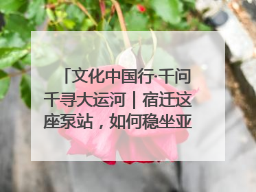 文化中国行·千问千寻大运河｜宿迁这座泵站，如何稳坐亚洲第一宝座？