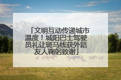 文明互动传递城市温度！城阳巴士驾驶员礼让斑马线获外籍友人鞠躬致谢