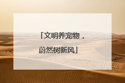 文明养宠物,蔚然树新风