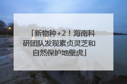 新物种+2！海南科研团队发现素贞灵芝和自然保护地壁虎