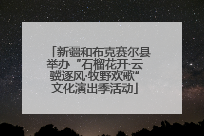 新疆和布克赛尔县举办“石榴花开·云骥逐风·牧野欢歌”文化演出季活动