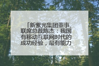 新紫光集团董事、联席总裁陈杰：我国有移动互联网时代的成功经验，最有能力做好AI应用创新