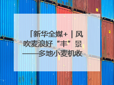 新华全媒+｜风吹麦浪好“丰”景——多地小麦机收一线见闻