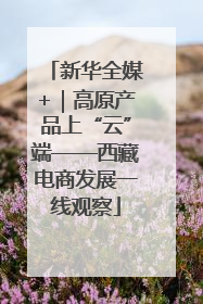 新华全媒+｜高原产品上“云”端——西藏电商发展一线观察