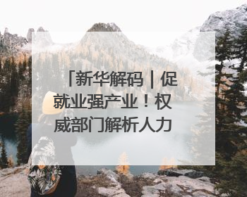 新华解码｜促就业强产业！权威部门解析人力资源服务业与制造业融合发展试点