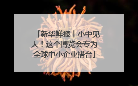 新华鲜报丨小中见大！这个博览会专为全球中小企业搭台