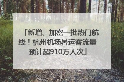 新增、加密一批热门航线！杭州机场暑运客流量预计超910万人次