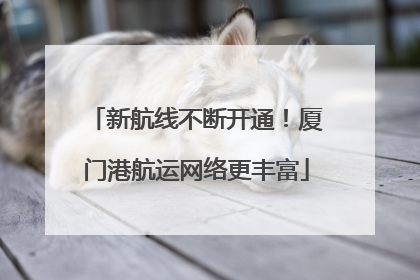 新航线不断开通！厦门港航运网络更丰富