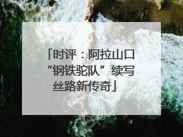 时评：阿拉山口“钢铁驼队”续写丝路新传奇