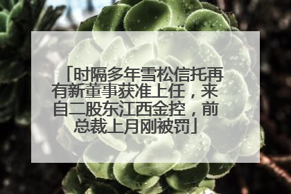 时隔多年雪松信托再有新董事获准上任，来自二股东江西金控，前总裁上月刚被罚