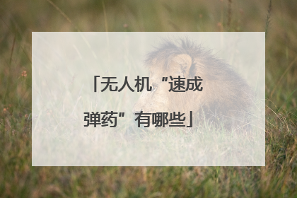 无人机“速成弹药”有哪些