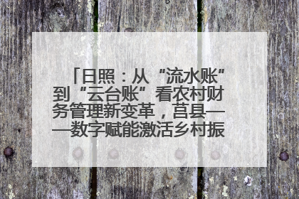 日照：从“流水账”到“云台账”看农村财务管理新变革，莒县——数字赋能激活乡村振兴“一池春水”