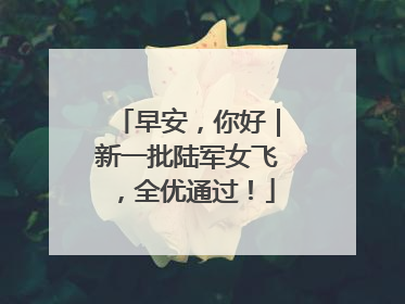 早安，你好｜新一批陆军女飞，全优通过！