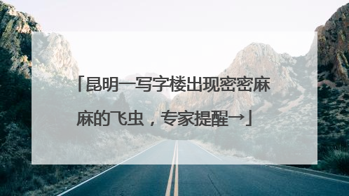 昆明一写字楼出现密密麻麻的飞虫，专家提醒→