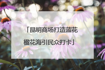 昆明商场打造蓝花楹花海引民众打卡