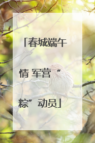 春城端午情 军营“粽”动员