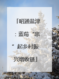 昭通盐津：蓝莓“串”起乡村振兴增收链