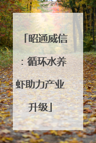 昭通威信：循环水养虾助力产业升级