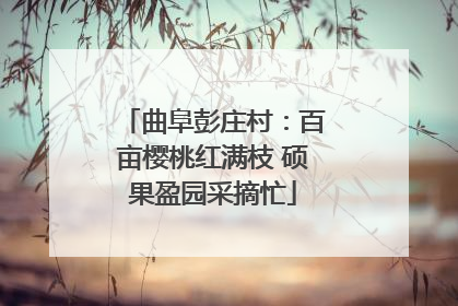 曲阜彭庄村：百亩樱桃红满枝 硕果盈园采摘忙