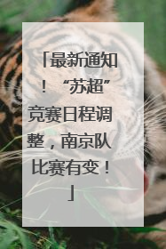 最新通知！“苏超”竞赛日程调整，南京队比赛有变！