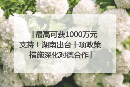 最高可获1000万元支持！湖南出台十项政策措施深化对德合作