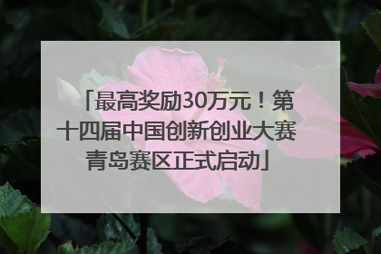 最高奖励30万元！第十四届中国创新创业大赛青岛赛区正式启动