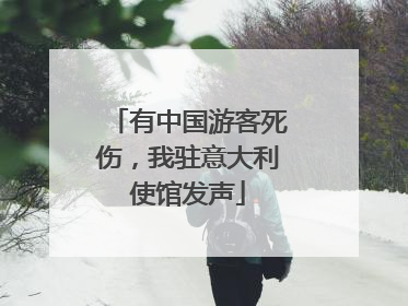有中国游客死伤，我驻意大利使馆发声