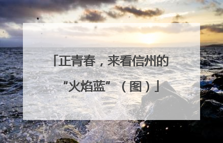 正青春，来看信州的“火焰蓝”（图）