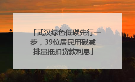武汉绿色低碳先行一步，39位居民用碳减排量抵扣贷款利息
