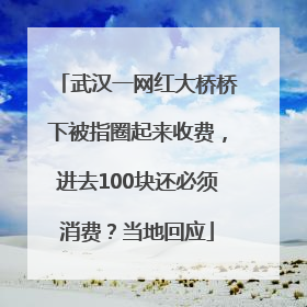 武汉一网红大桥桥下被指圈起来收费，进去100块还必须消费？当地回应