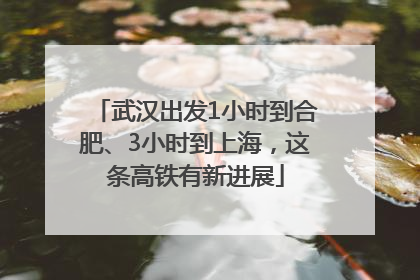 武汉出发1小时到合肥、3小时到上海，这条高铁有新进展