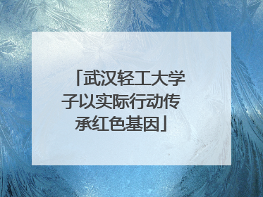 武汉轻工大学子以实际行动传承红色基因