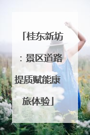 桂东新坊：景区道路提质赋能康旅体验