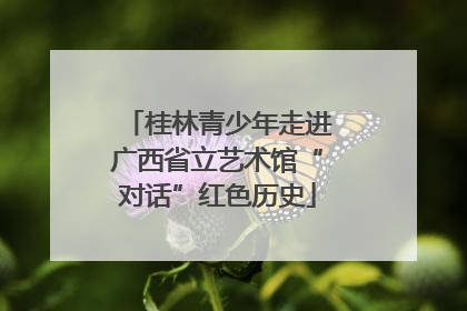 桂林青少年走进广西省立艺术馆“对话”红色历史