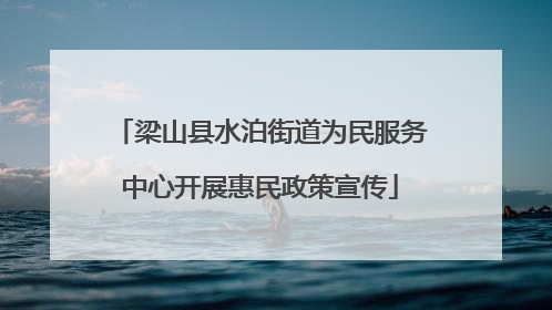 梁山县水泊街道为民服务中心开展惠民政策宣传